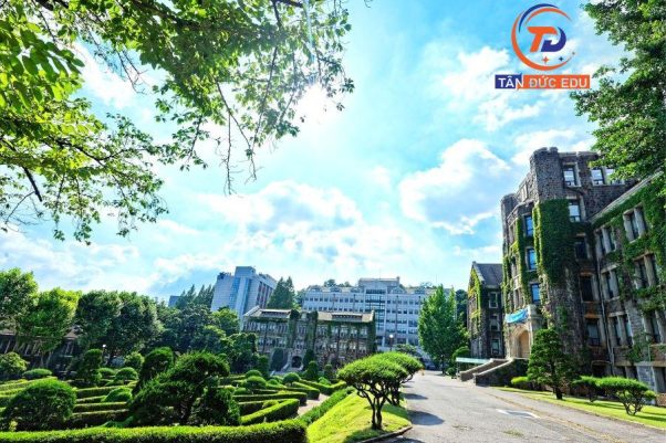 [2023] Lộ trình và Điều kiện du học Hàn Quốc thay đổi gì?
