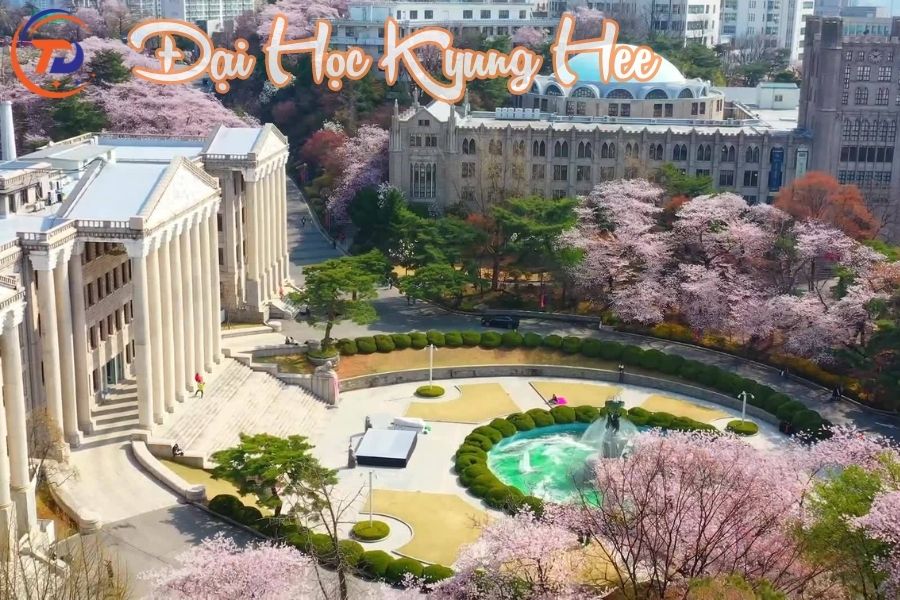 Đại Học Kyung Hee có thế mạnh là Quản trị khách sạn