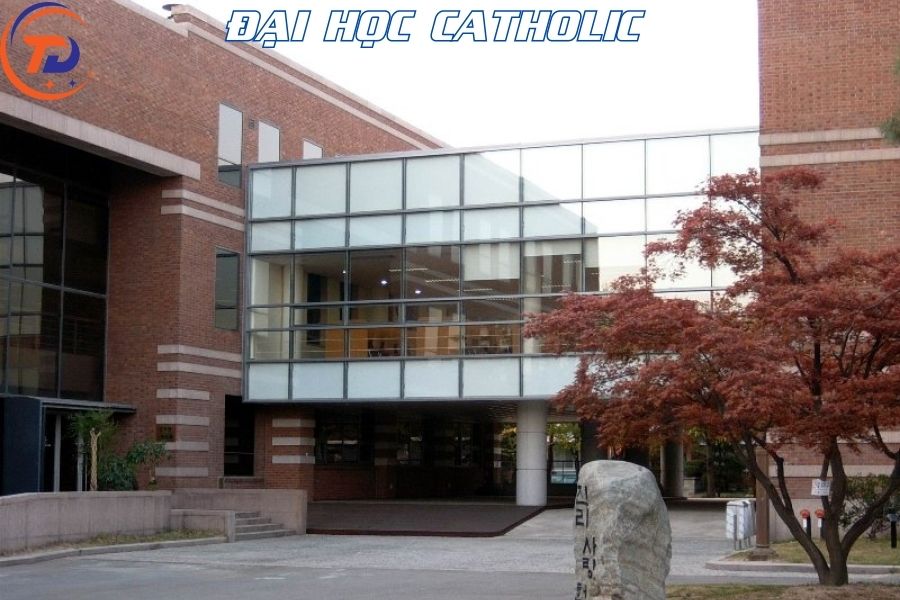 Đại học Catholic