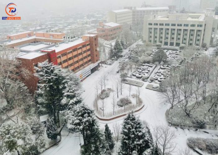 Đại học Woosong vào mùa Đông