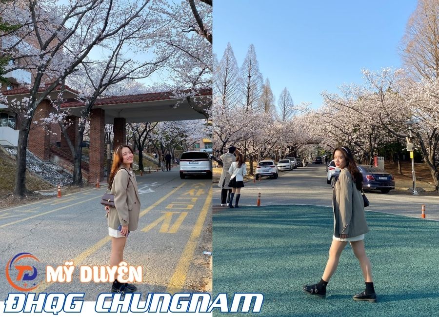 Mỹ Duyên – Sinh viên ưu tú Tân Đức tại CNU