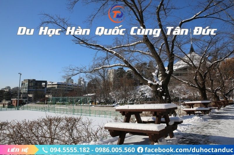 Trường Đại học Ajou vào mùa Đông