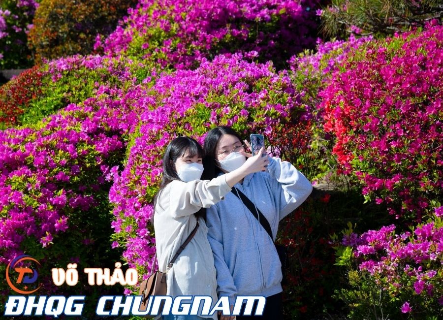 Võ Thu Thảo – Sinh viên ưu tú Tân Đức tại CNU