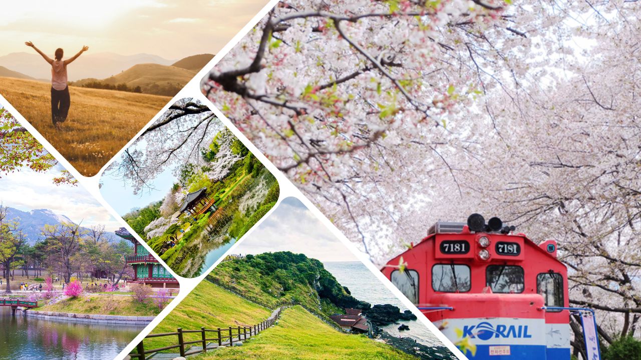 ĐIỀU KIỆN DU HỌC HÀN QUỐC 2023
