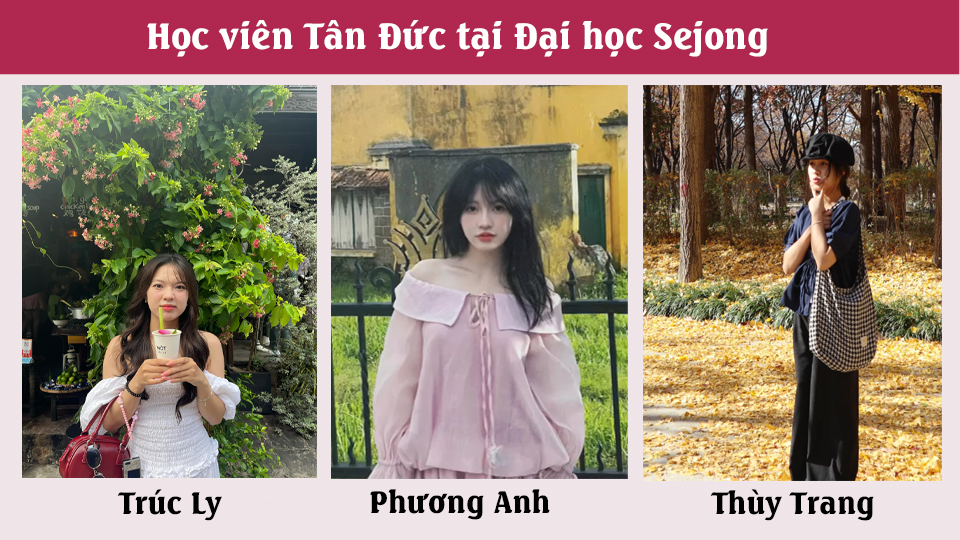 Hoc Vien Tan Duc Sejong