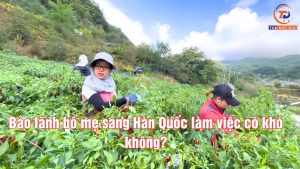Bảo Lãnh Bố Mẹ Sang Hàn Quốc Làm Việc Có Khó Không