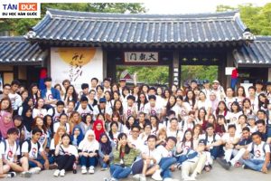 Chương trình đào tạo trường Đại học Sejong