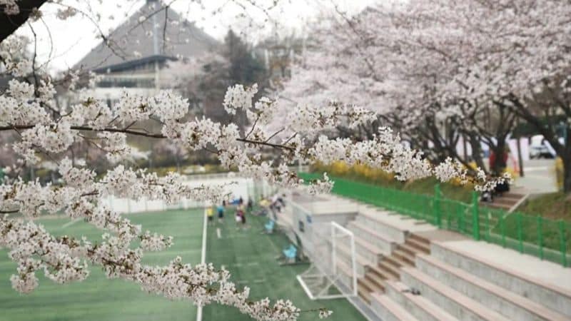 đại học ajou hàn quốc